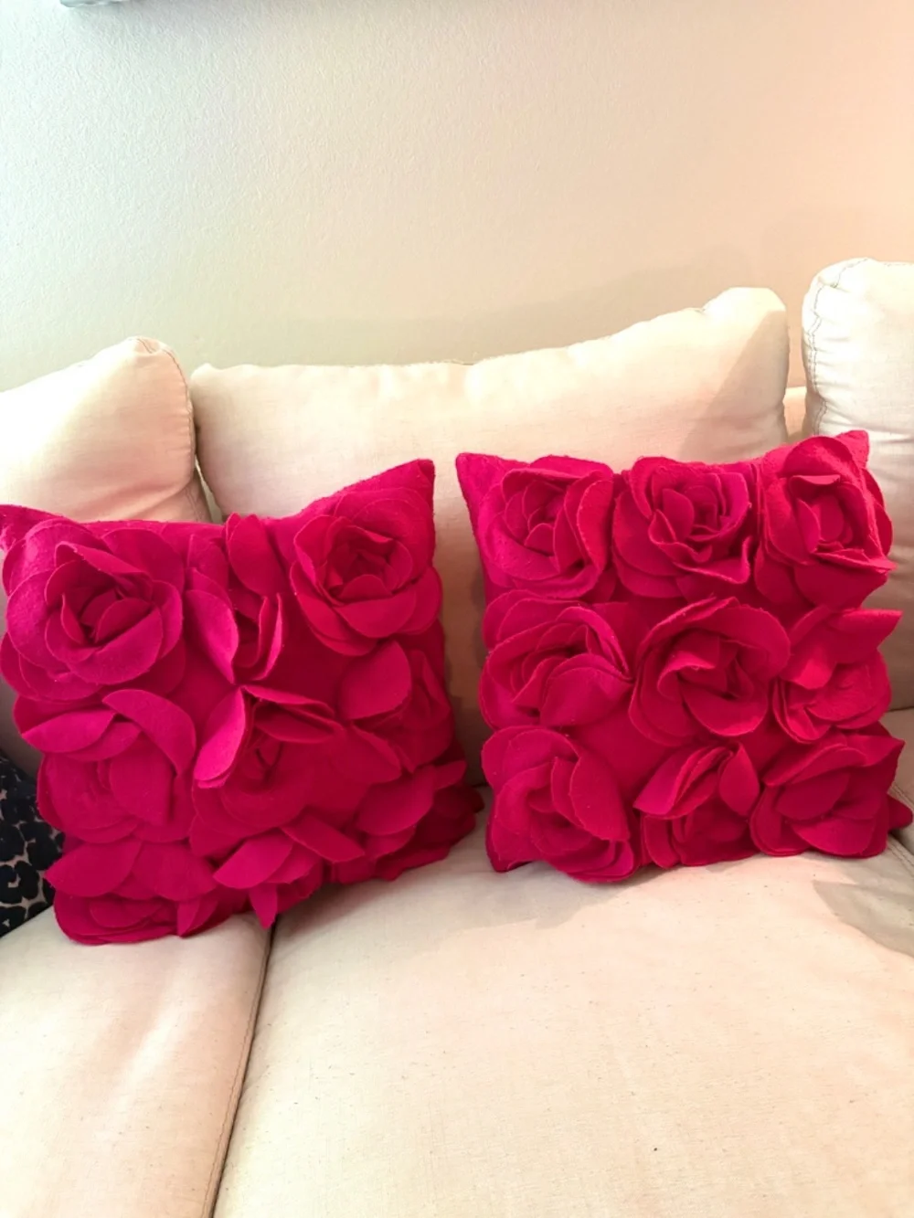 Pair of Fuchsia Pink Throw Pillows